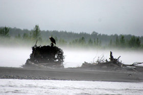 �N���b�N����ƃX���C�h�ʐ^���������